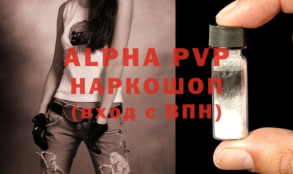 стаф Волоколамск