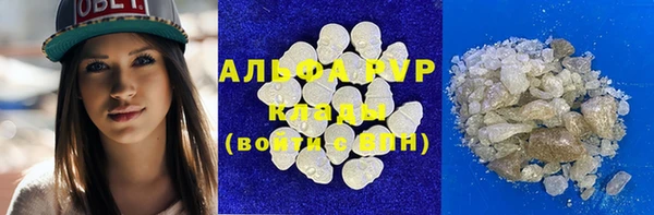 стаф Волоколамск